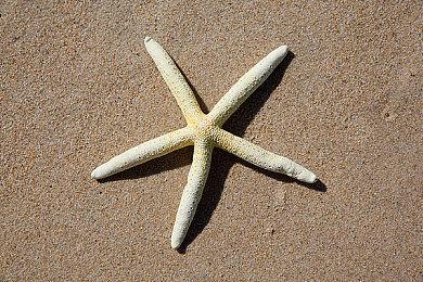 Switch在线追加《星之卡比 镜之迷宫》9月29日上线