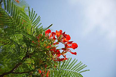 《生化危机8》Steam版现已支持AMD FSR技术